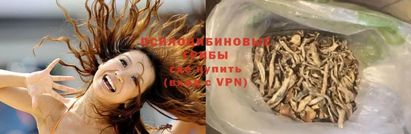 соль ск Нефтегорск