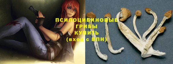 соль ск Нефтегорск