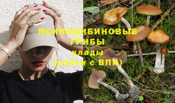 соль курить ск Надым