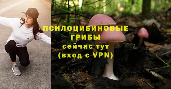 индика Навашино