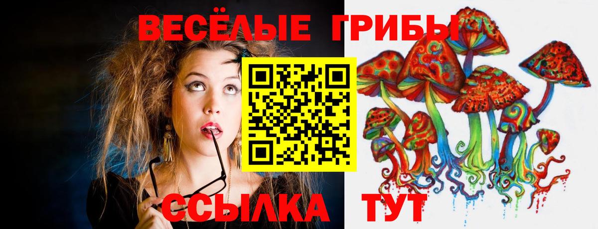 Псилоцибиновые грибы Cubensis  Вход с VPN  Печора 
