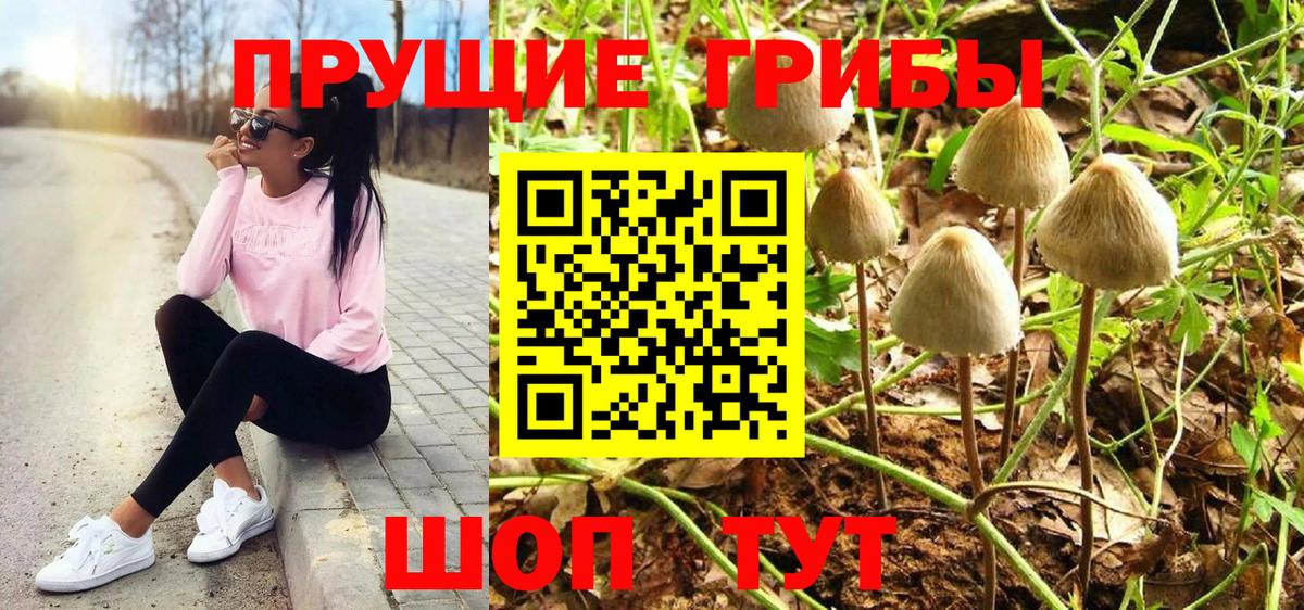Псилоцибиновые грибы MAGIC MUSHROOMS Печора